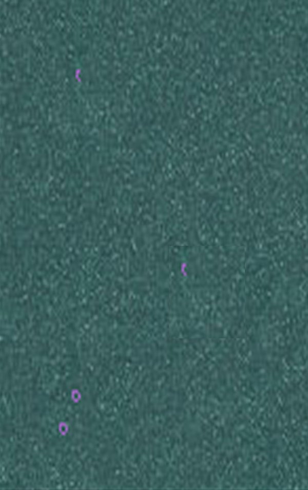 FERROPIù Smalto multifunzionale e antichizzati 0.75 ml